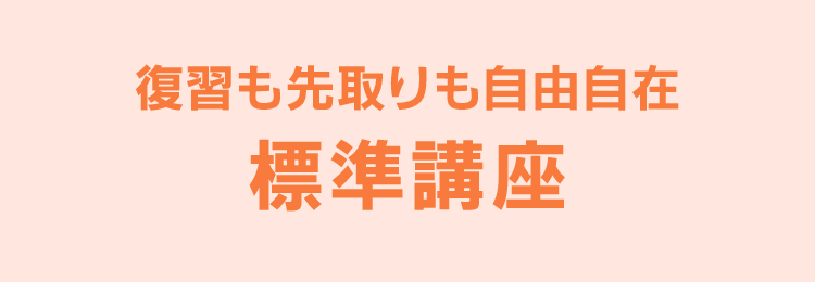 復習も先取りも自由自在 標準講座