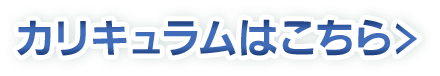 カリキュラムはこちら