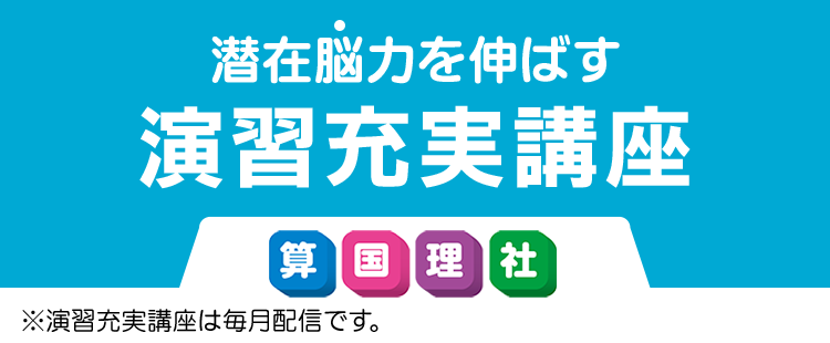 演習充実講座 学習レベルイメージ