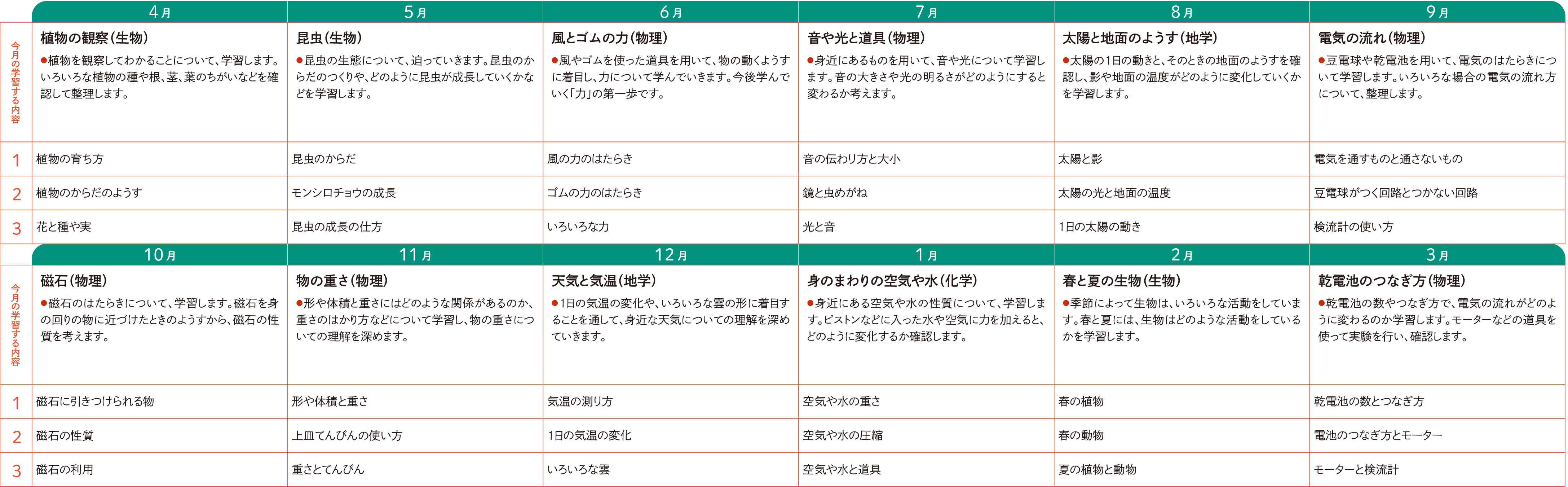 1年間の流れ