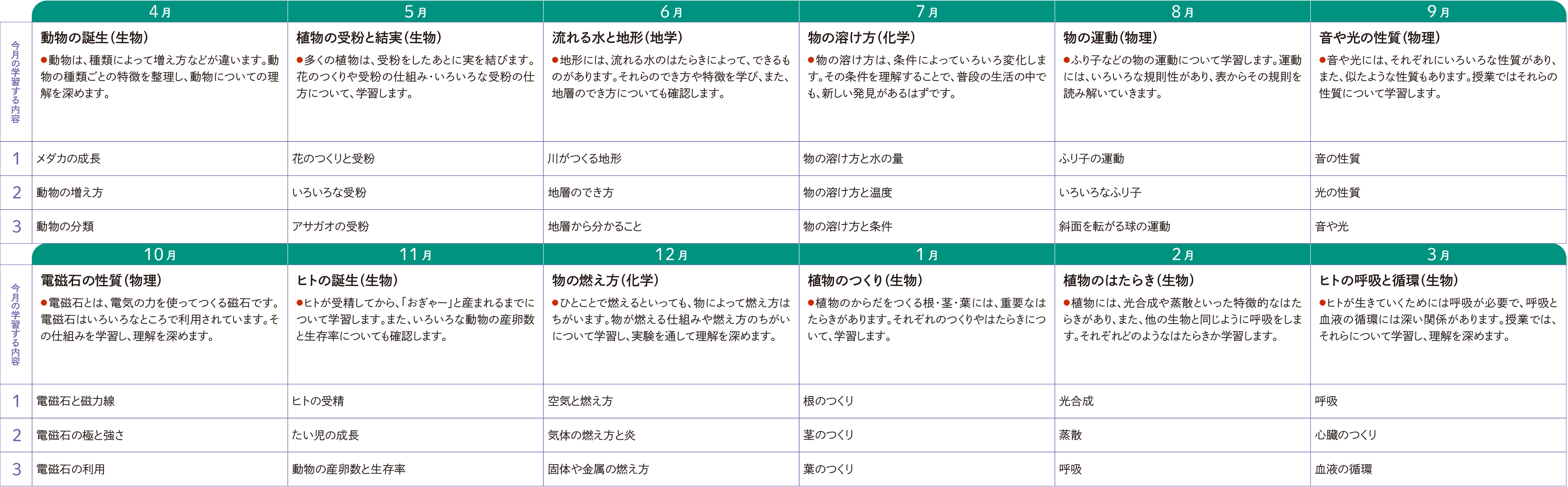 1年間のスケジュール