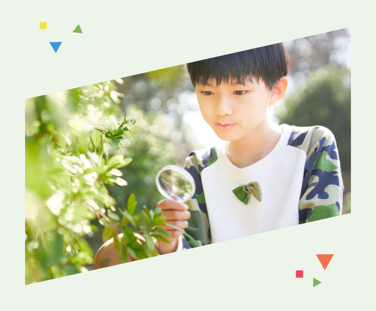 男の子の写真